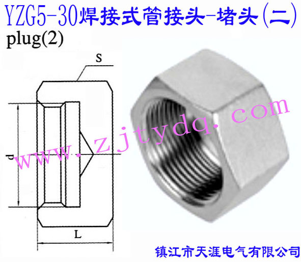 YZG5-30 焊接式管接頭-堵頭(二)Plug 2